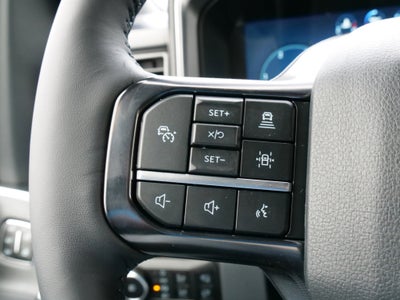 2025 Ford Super Duty F-350 SRW Platinum