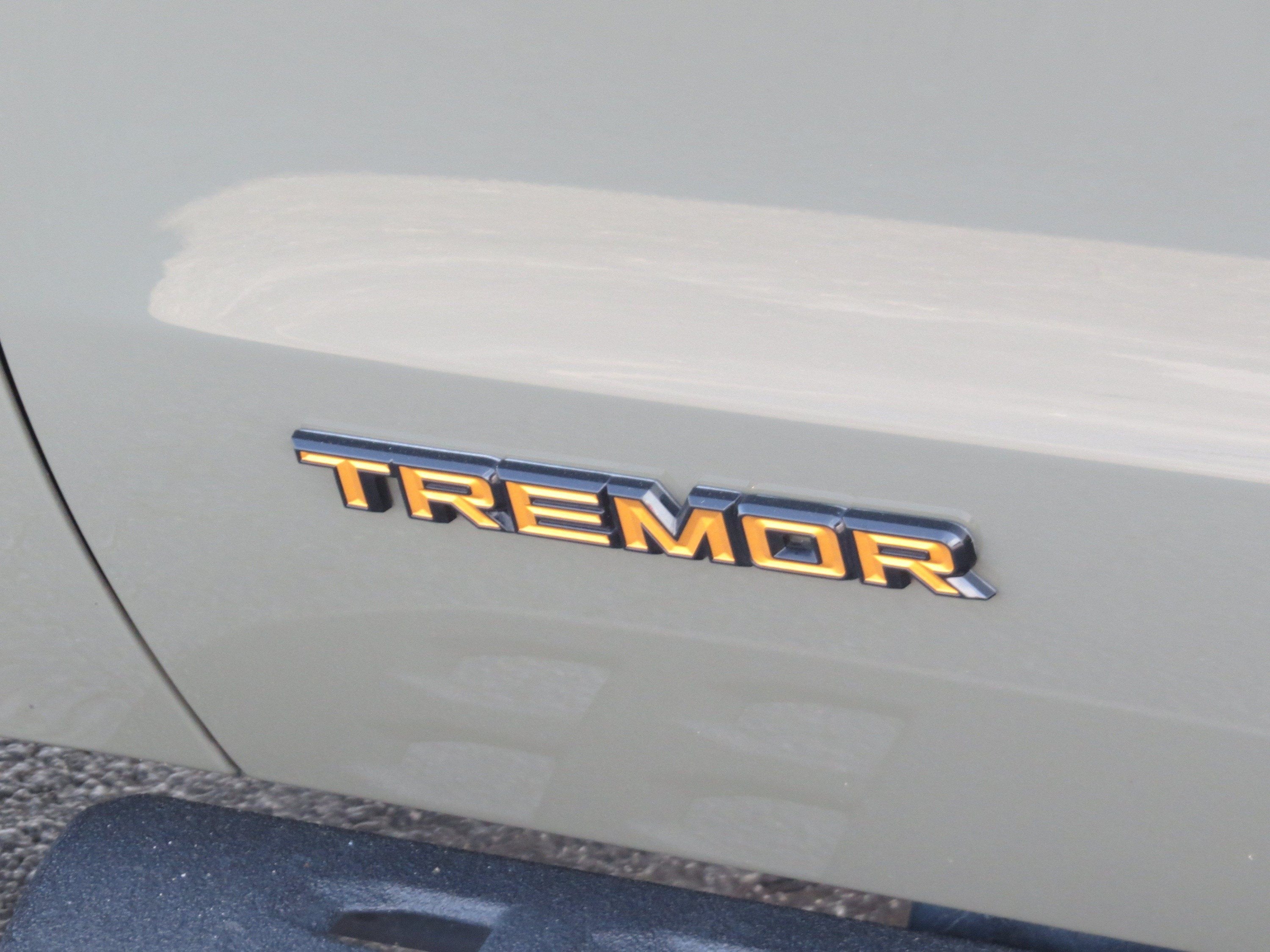 2025 Ford Expedition Tremor