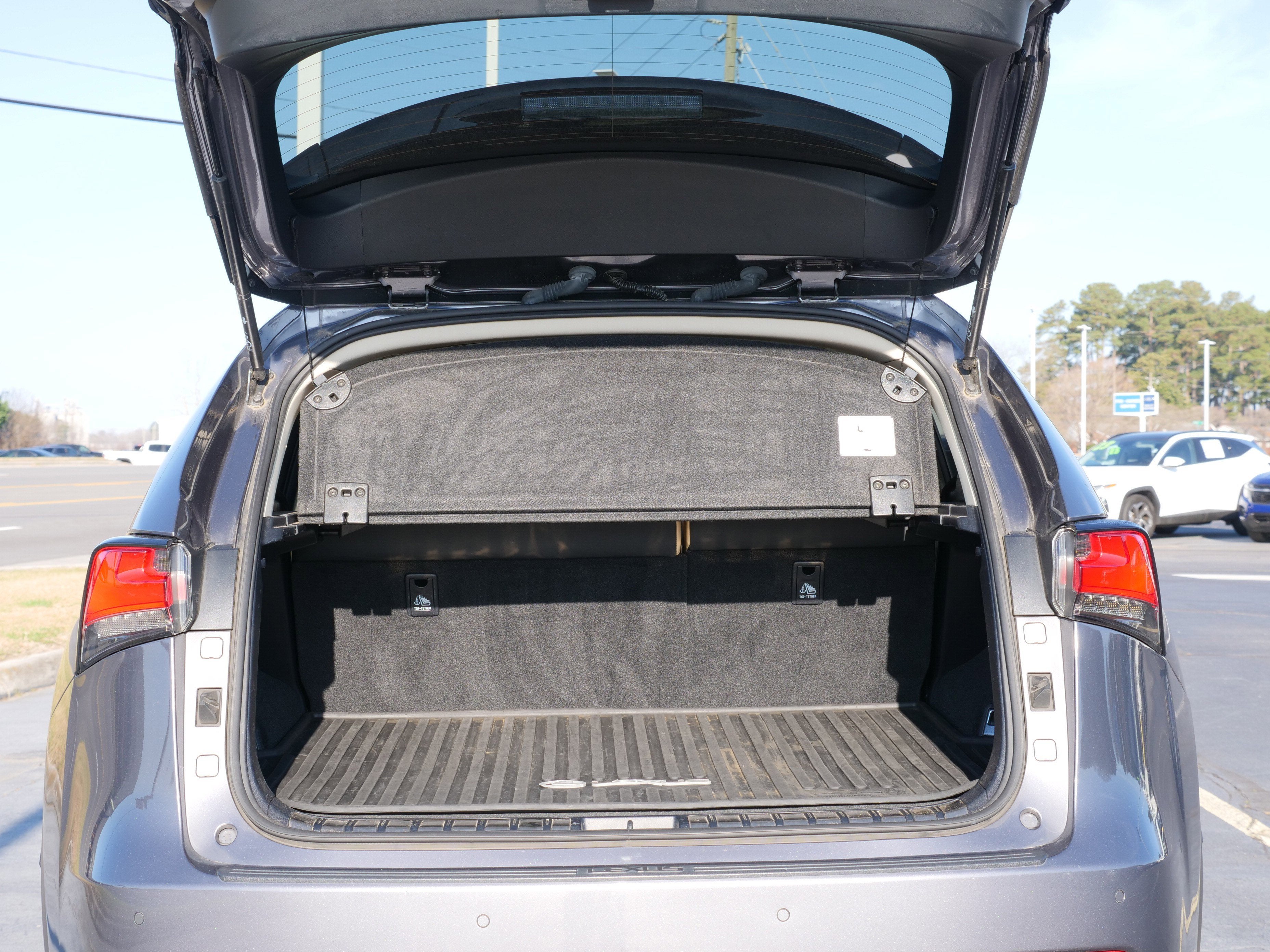 2019 Lexus NX NX 300h